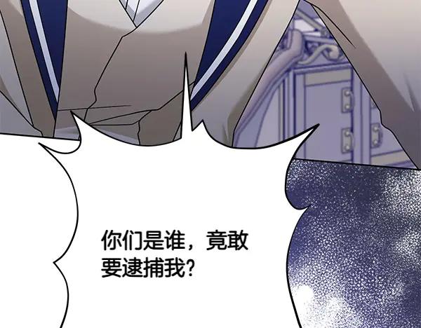 第223页