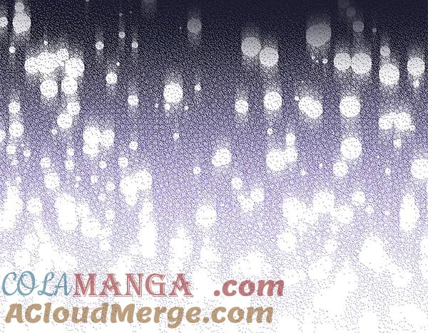 第217页