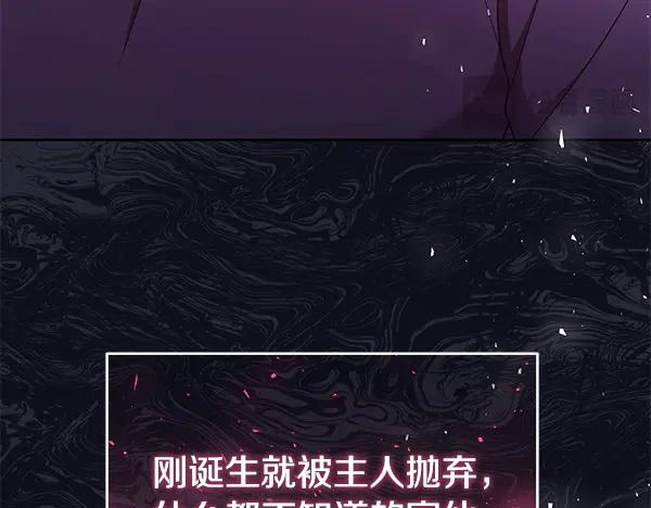 第219页