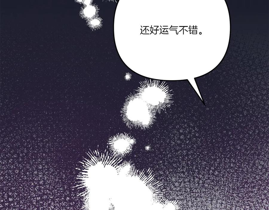 第223页