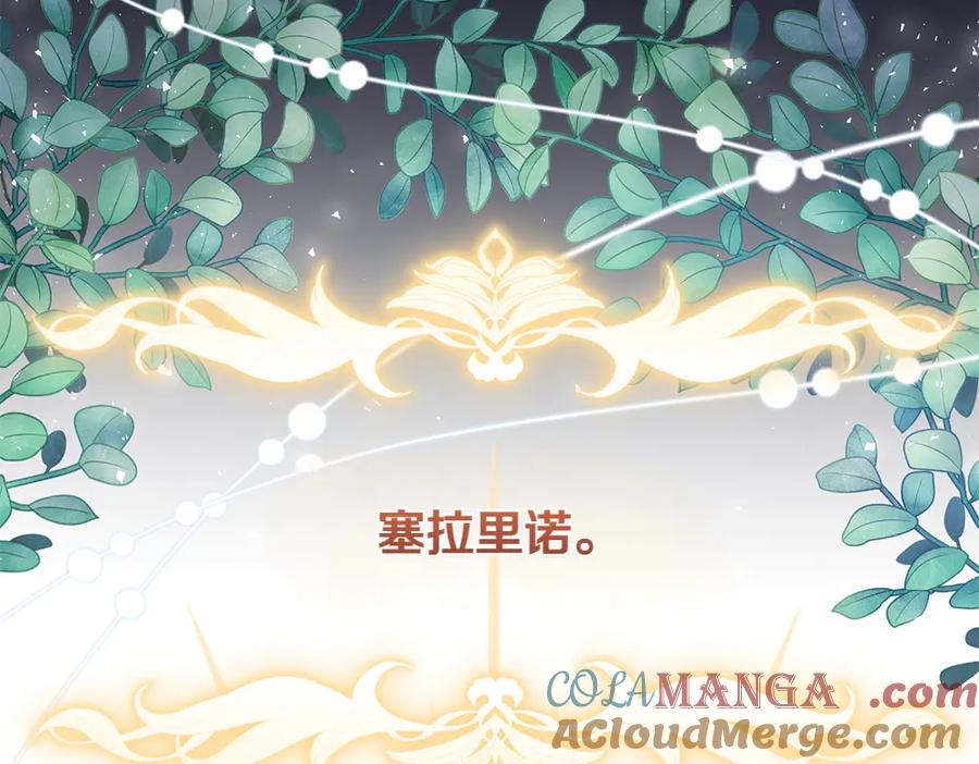 第205页