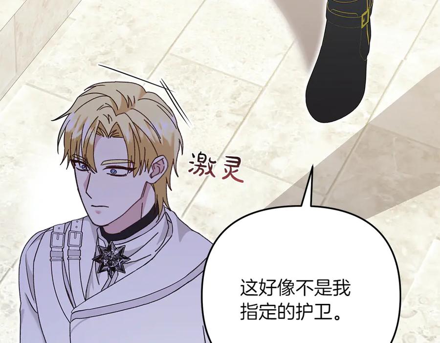 第204页