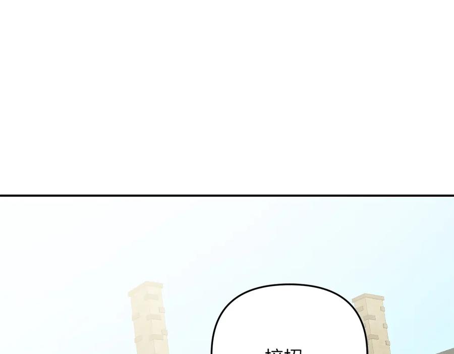 第239页