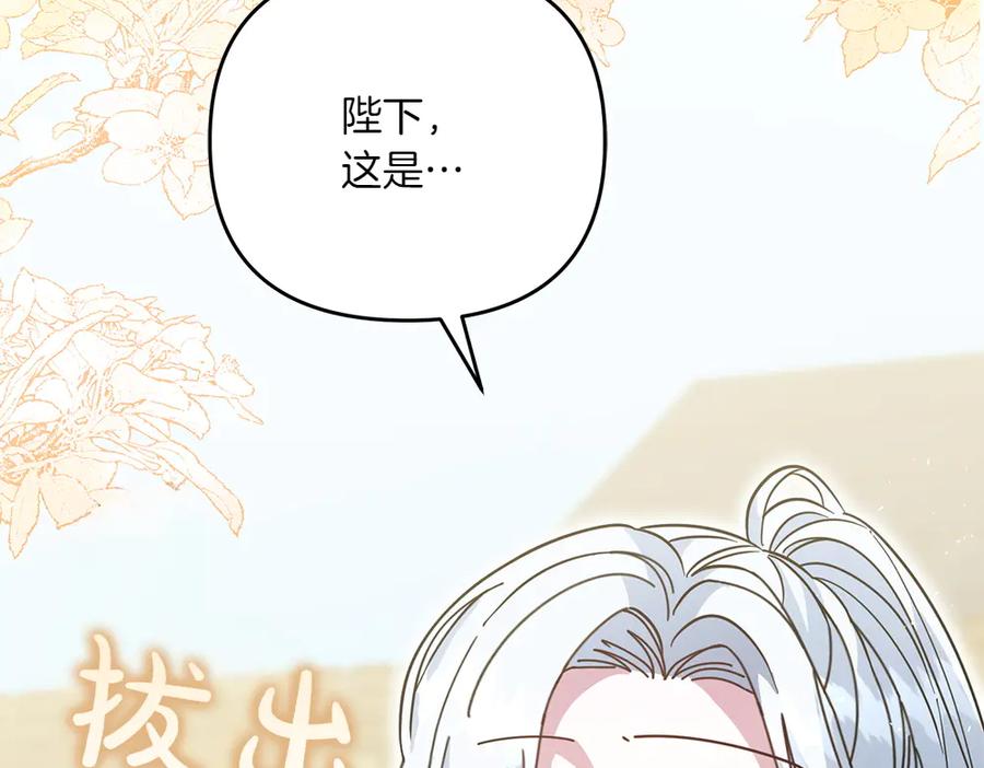 第242页