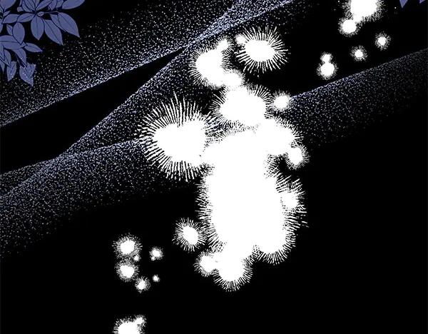 第214页