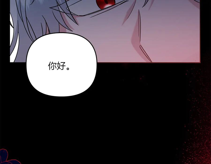 第246页