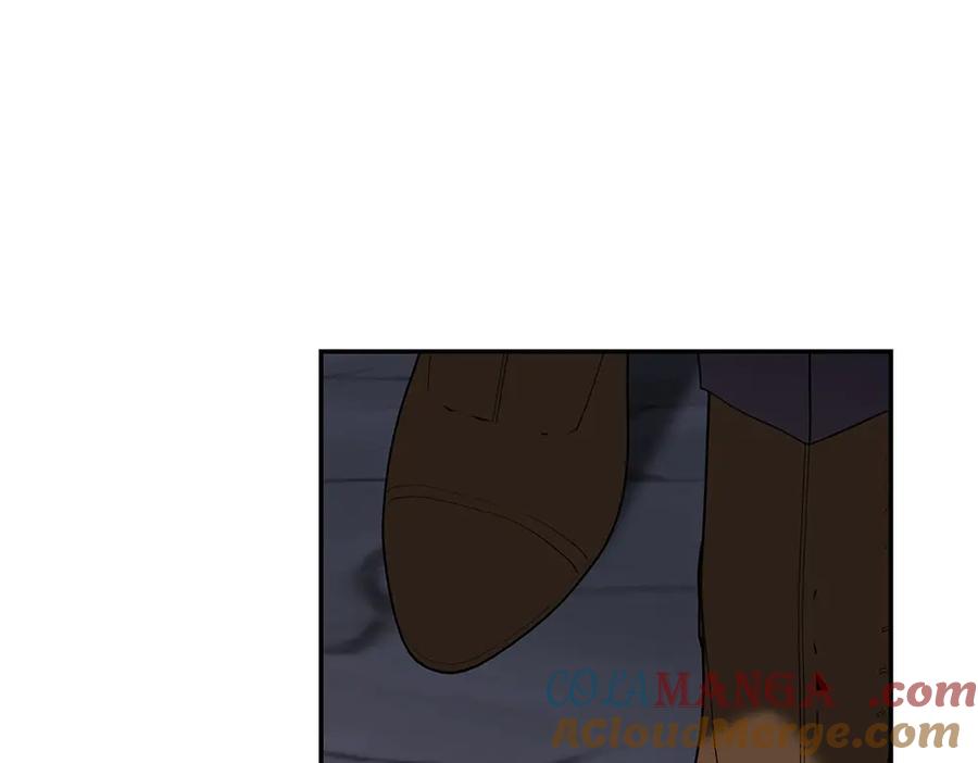 第241页