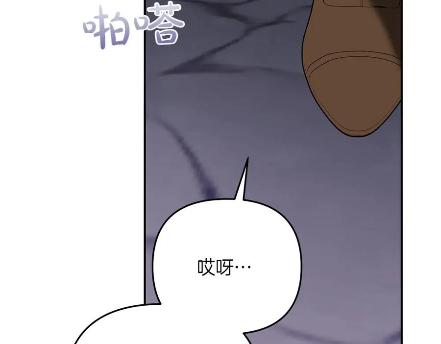 第242页