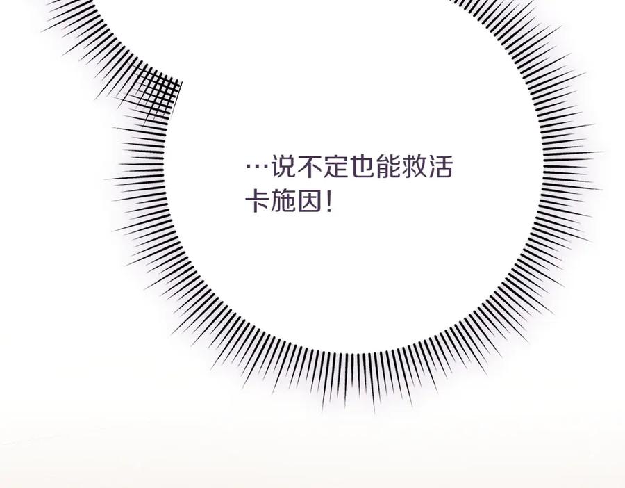 第240页