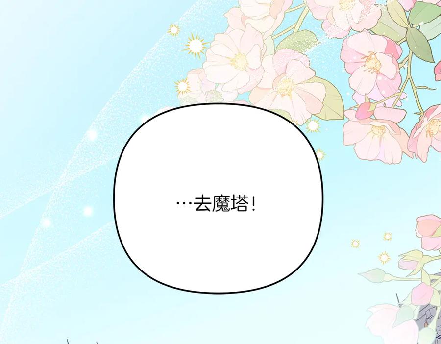 第244页