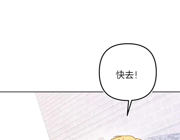第242页