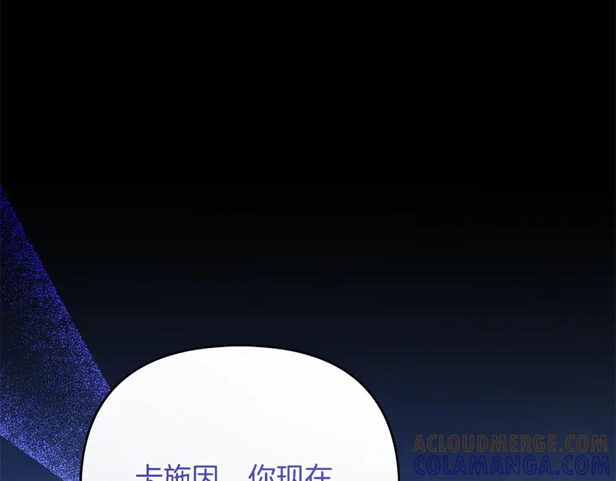 第217页