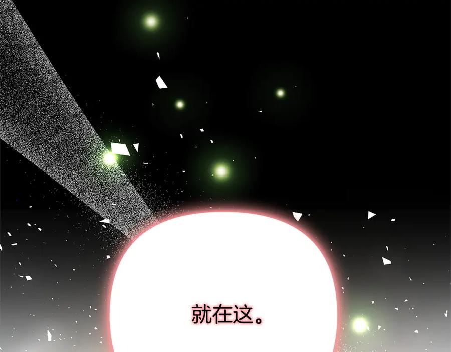 第224页
