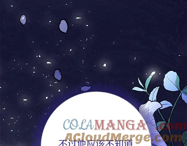第217页