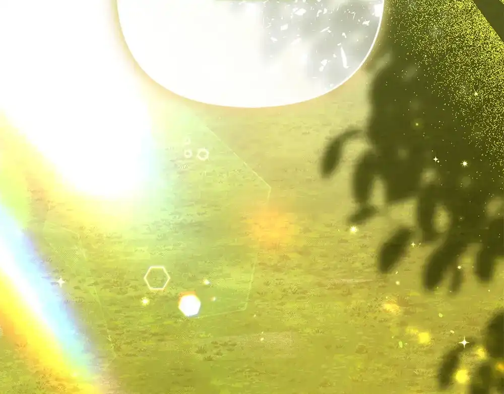 第222页