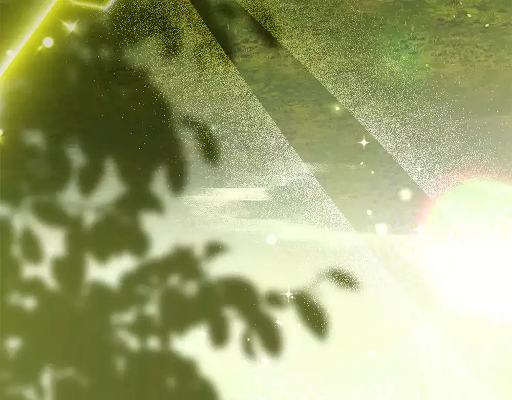 第226页