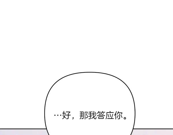 第242页