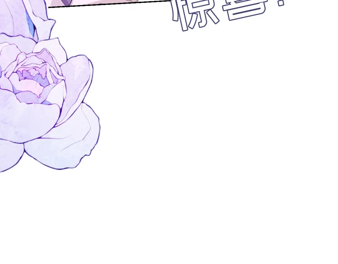 第242页