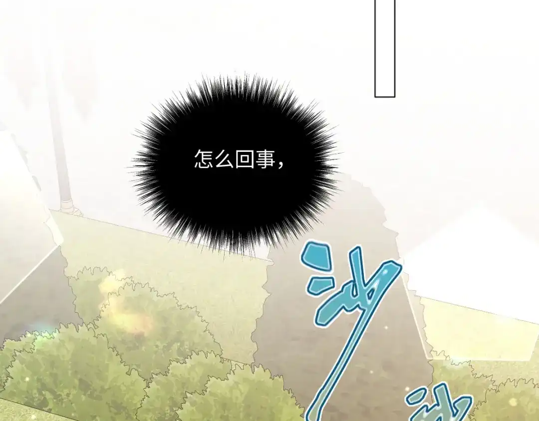 第204页