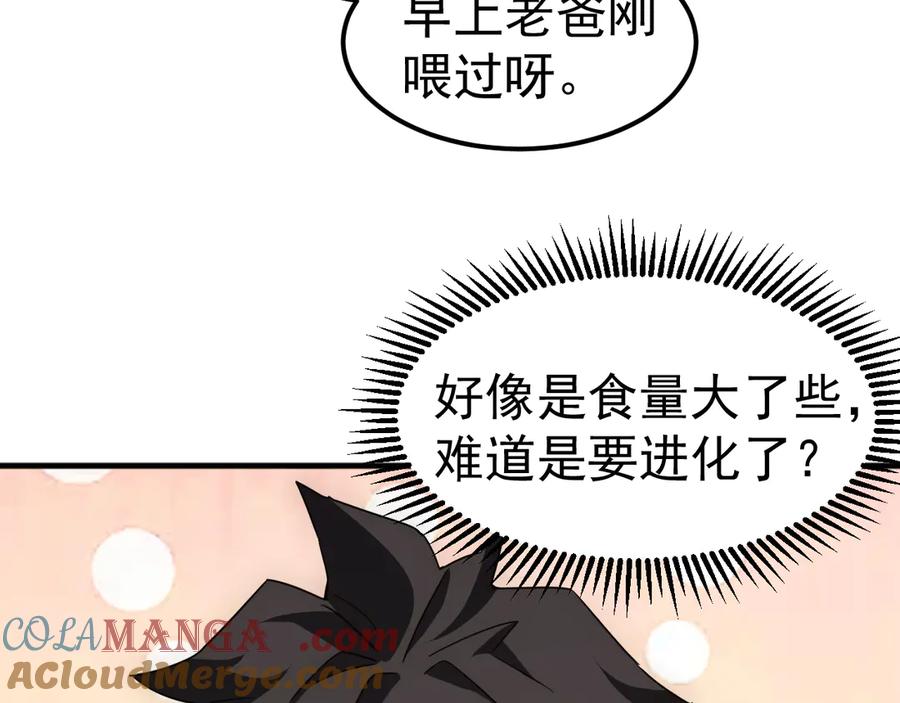 第205页