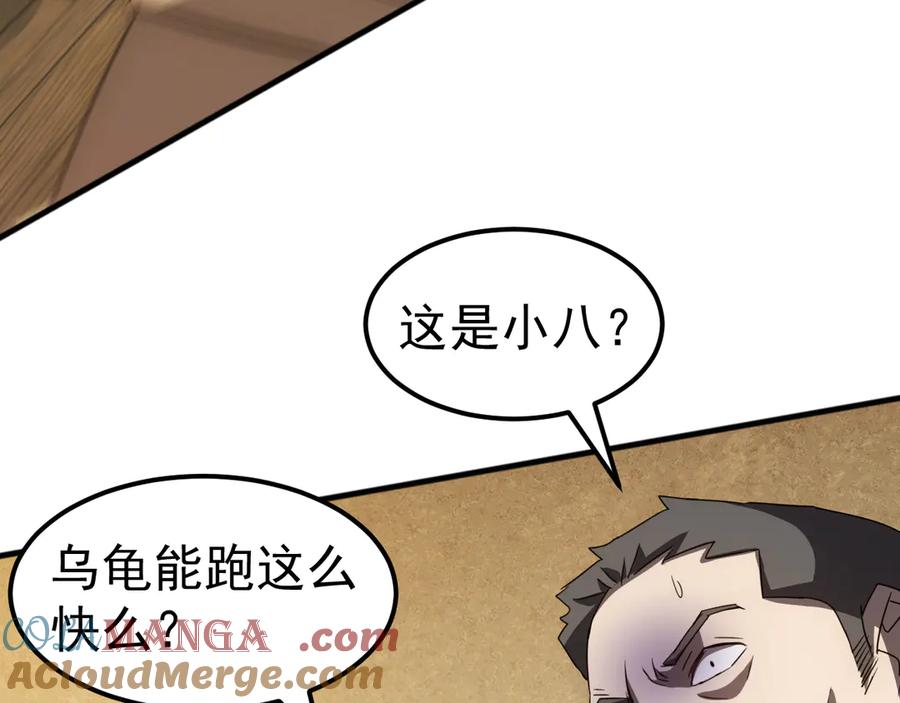 第213页