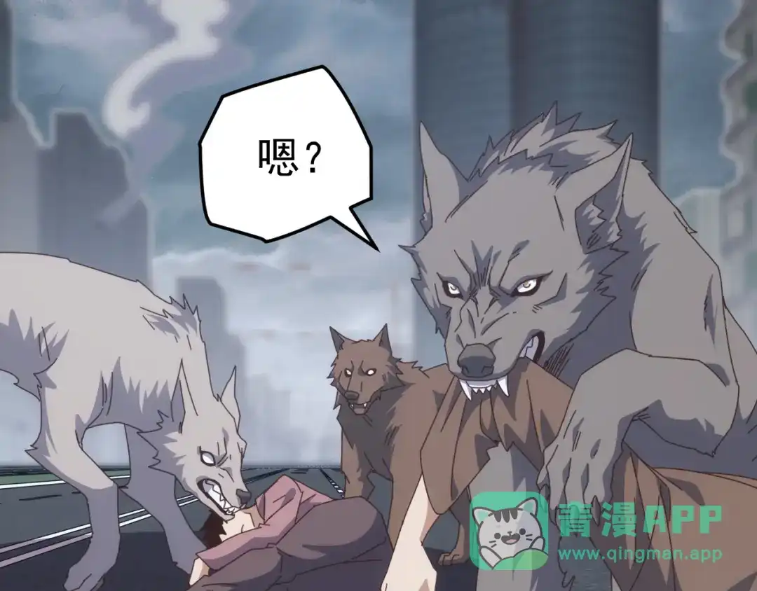 第116页