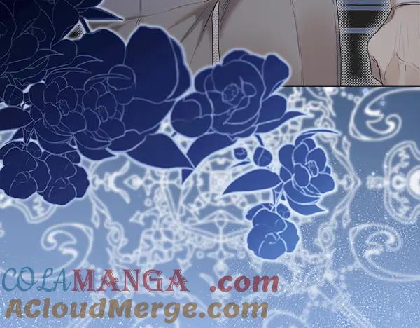 第229页