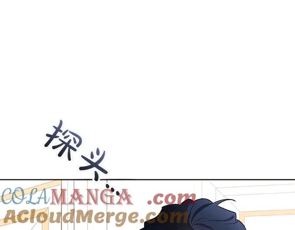 第205页