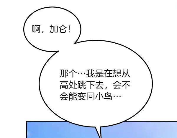 第216页