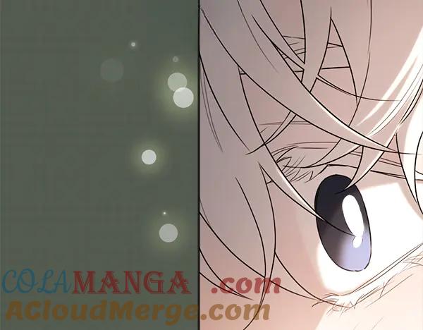第217页
