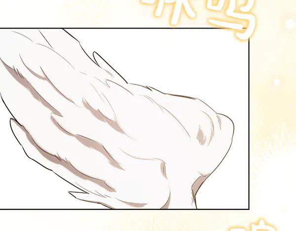 第224页