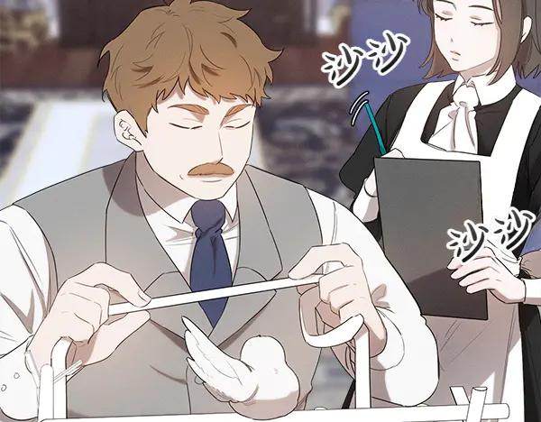 第204页
