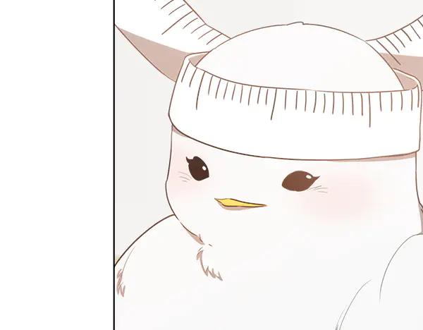 第216页