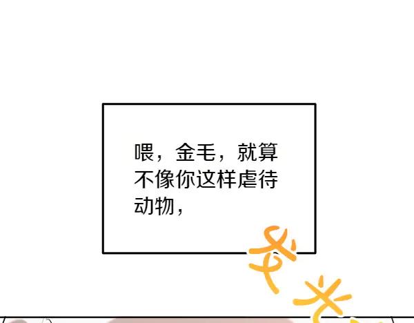 第207页
