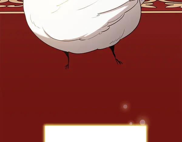 第218页
