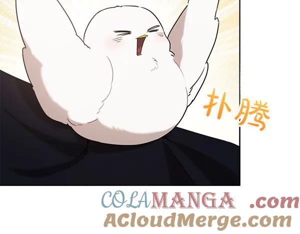 第197页