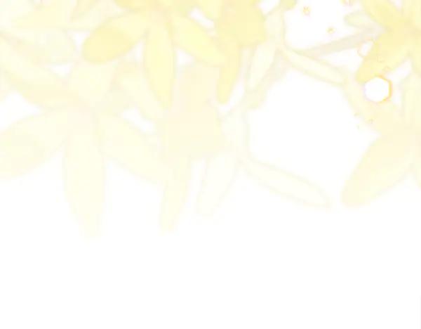 第232页