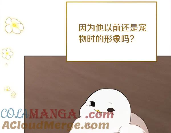 第233页