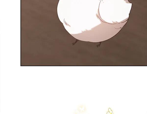 第234页