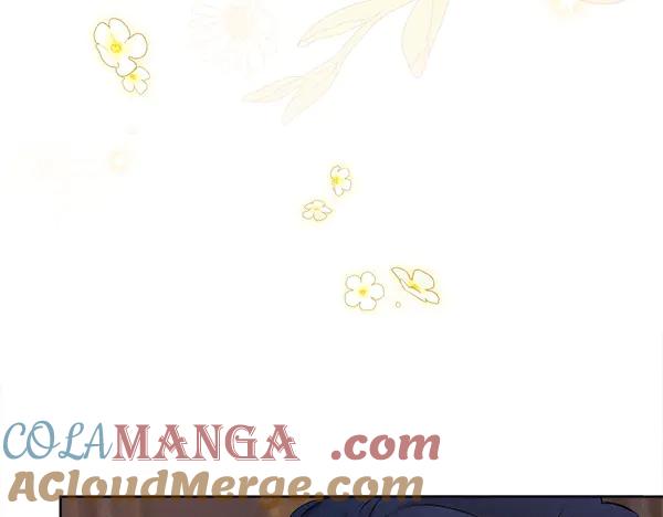 第241页