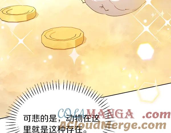 第205页
