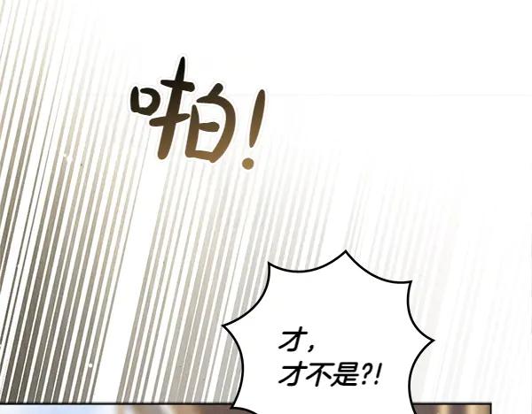 第242页