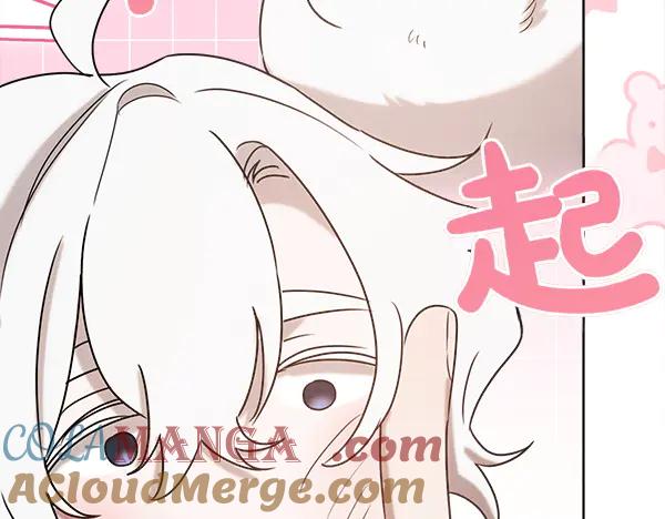 第253页
