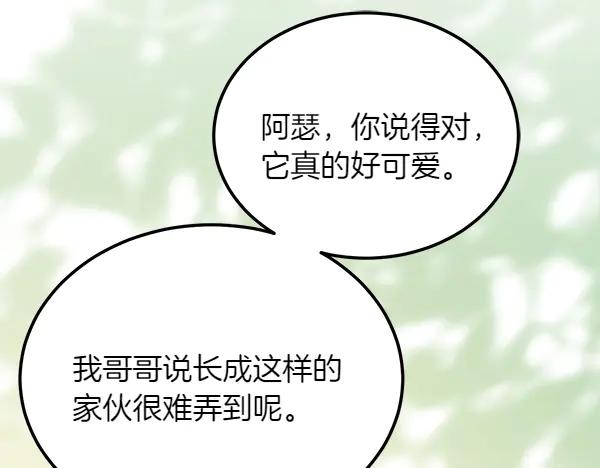第223页