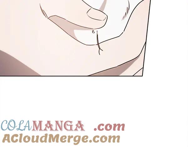 第241页