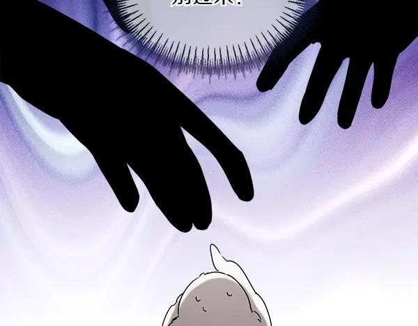 第244页