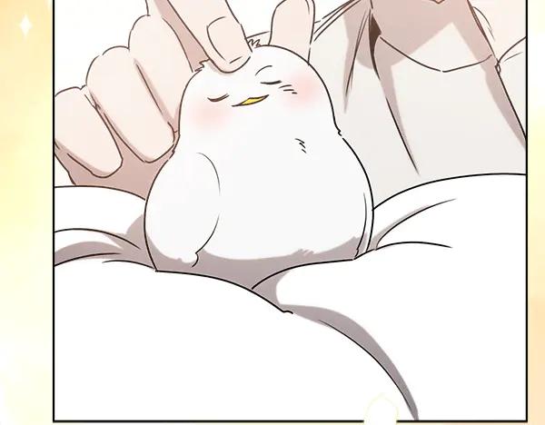 第250页