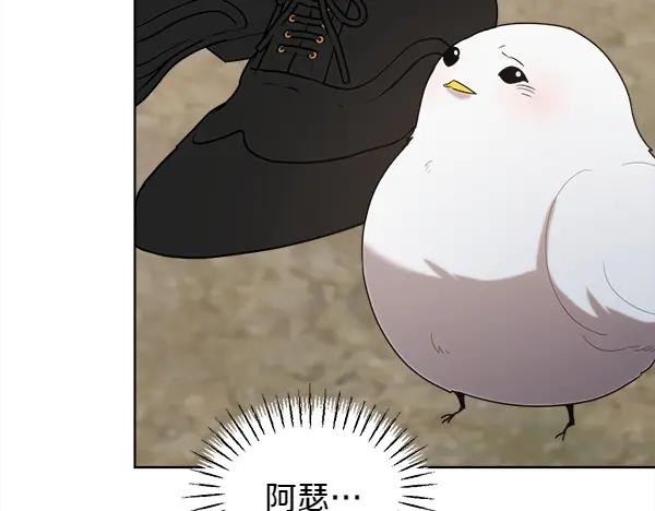 第211页