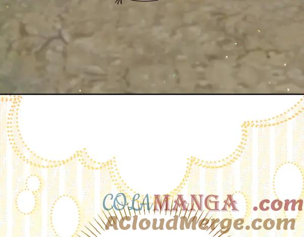 第221页
