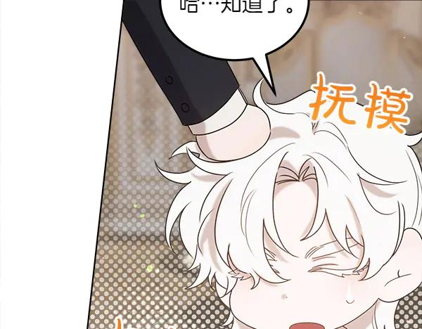 第223页